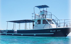 ダイビングボート